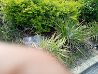 Gallery image 2 — irrigation management Orlando