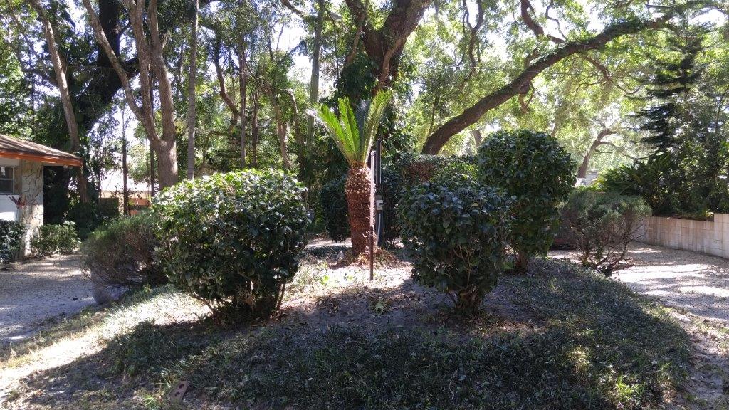 Gallery image 16 — landscaping near me