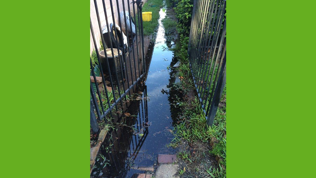 Gallery image 11 — landscaping near me