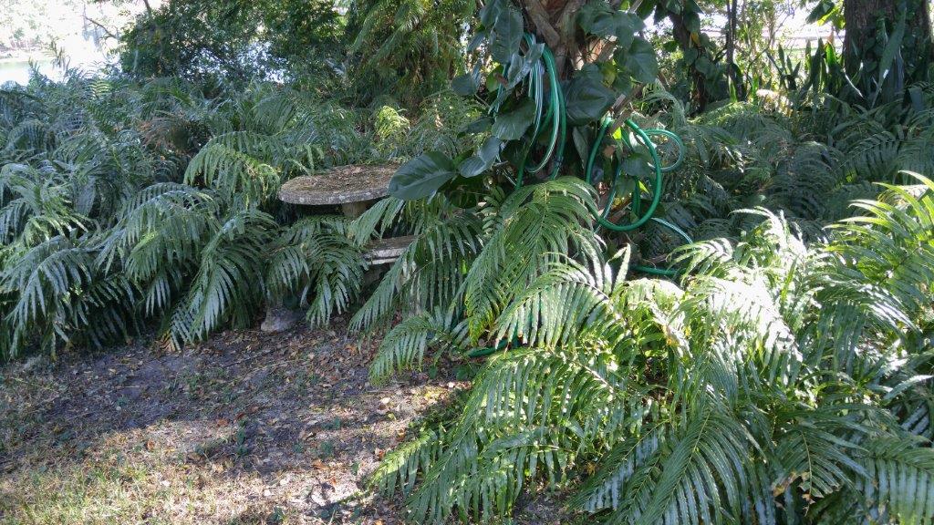 Gallery image 4 — landscaping near me