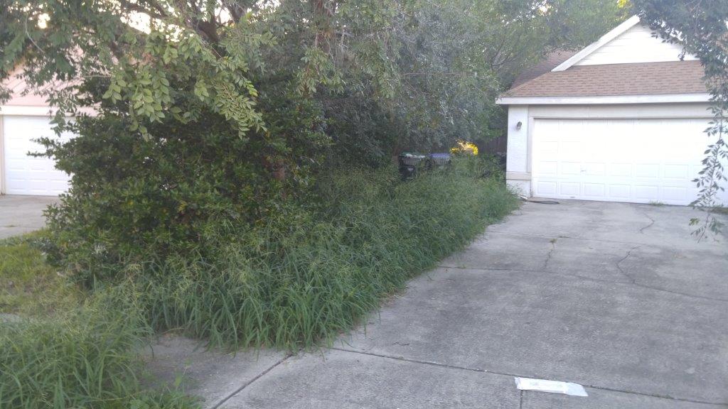 Gallery image 9 — landscaping near me
