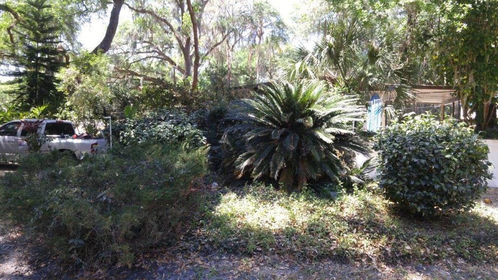 Gallery image 7 — landscaping near me
