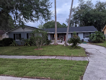 tree removal Orlando