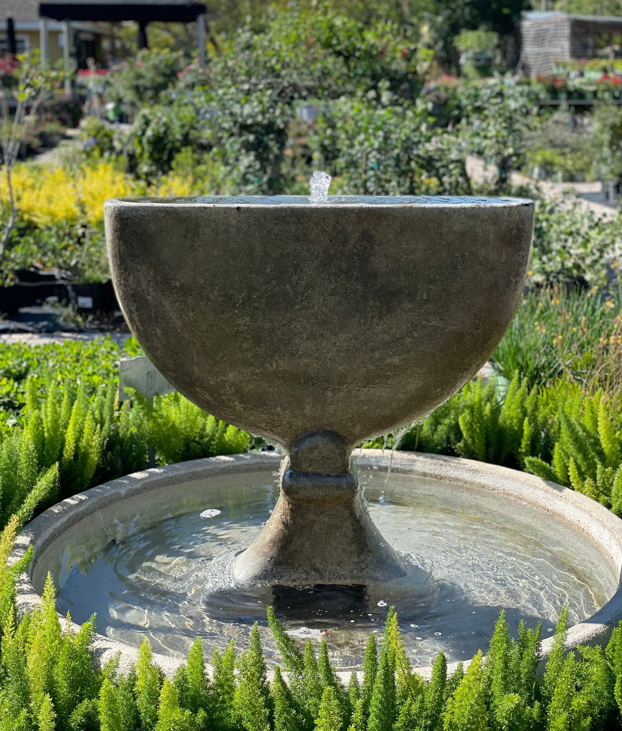 Gallery image 7 — container garden design Orlando