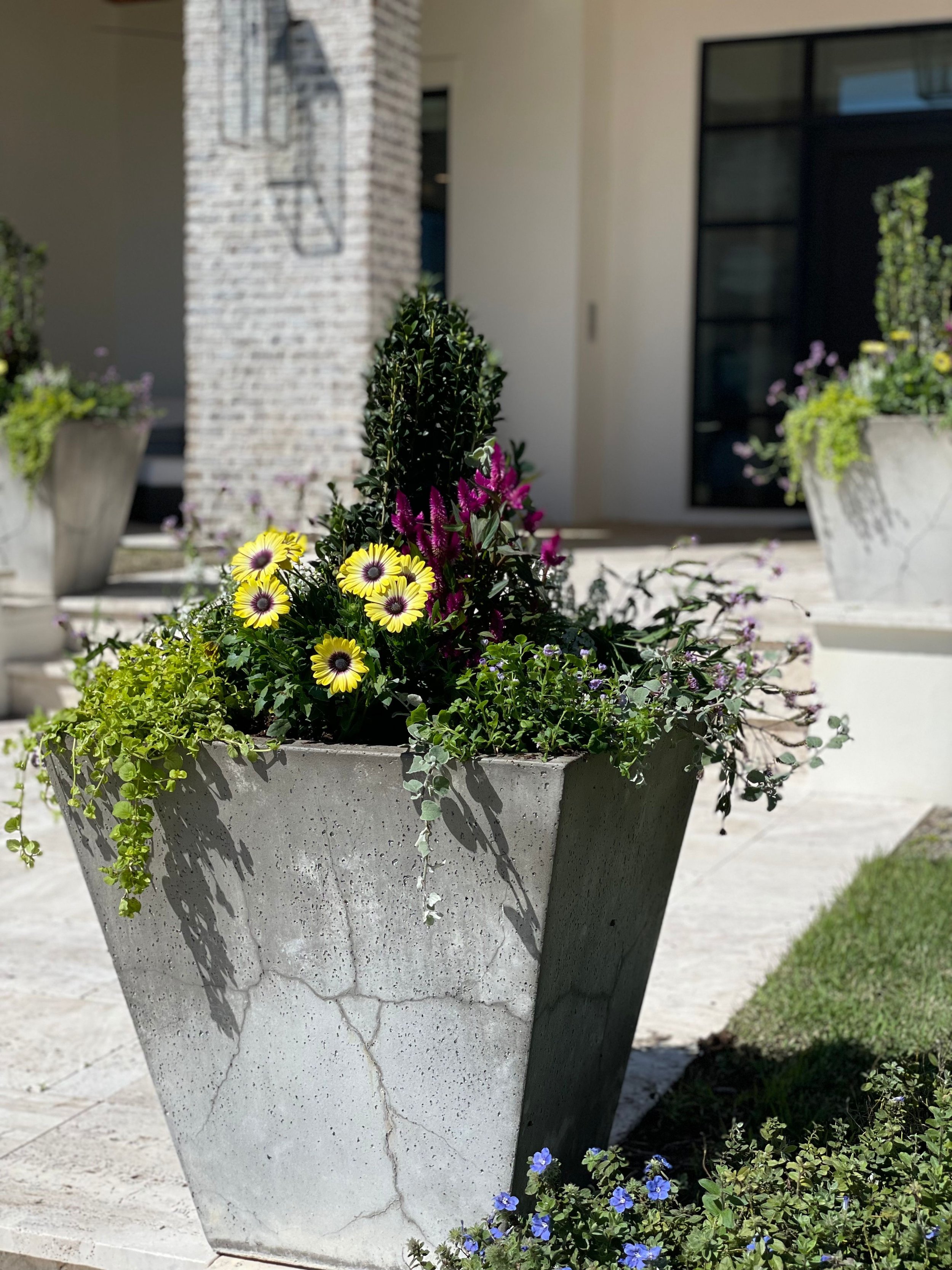 About container garden design Orlando