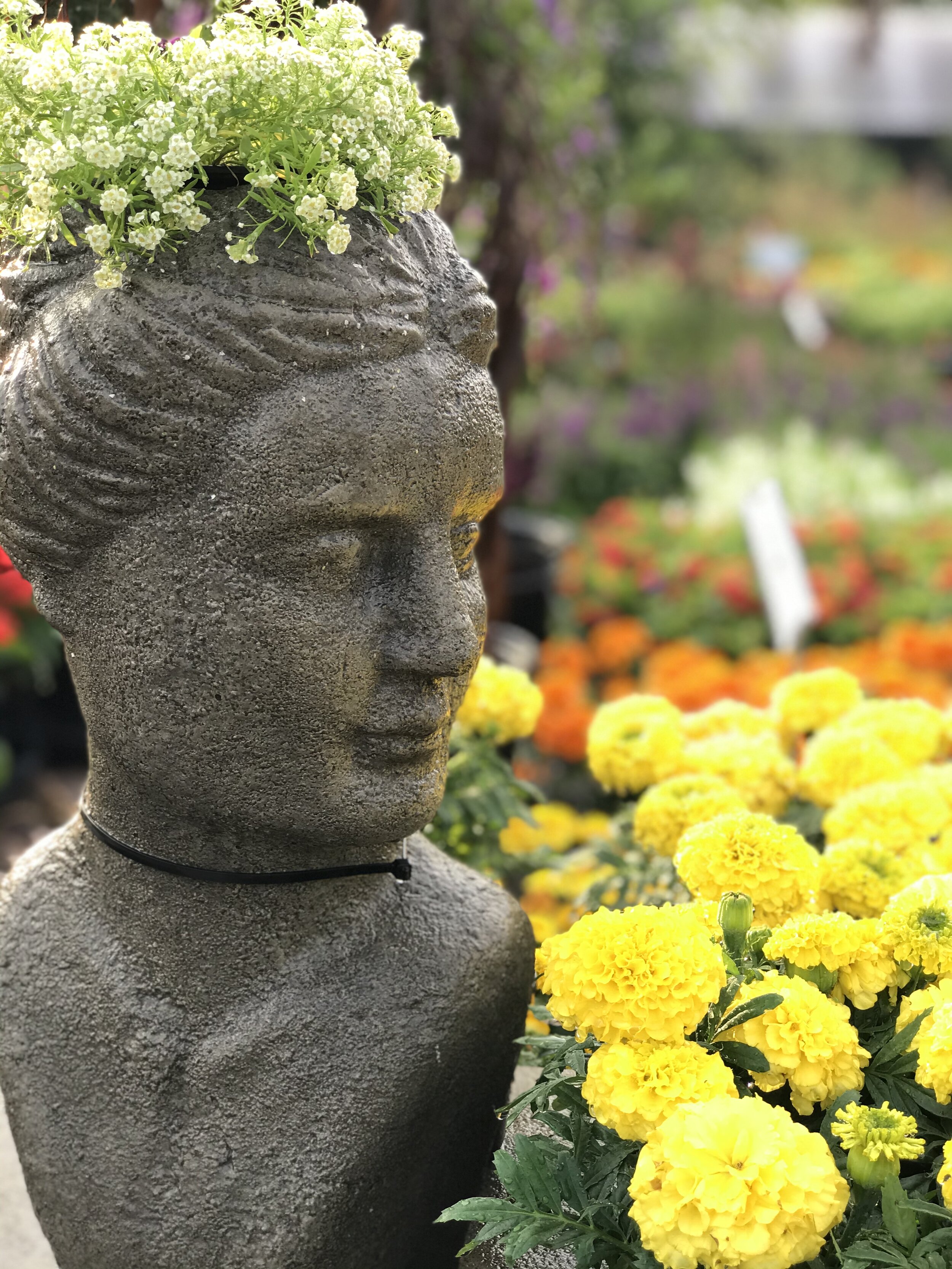 Gallery image 2 — container garden design Orlando