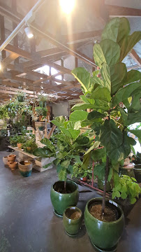 Gallery image 4 — container garden design Orlando