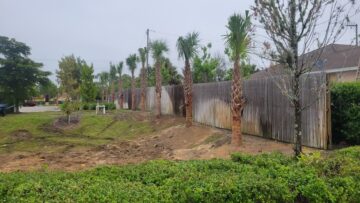 Gallery image 8 — fall cleanup near me