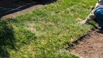 Gallery image 9 — fall cleanup near me