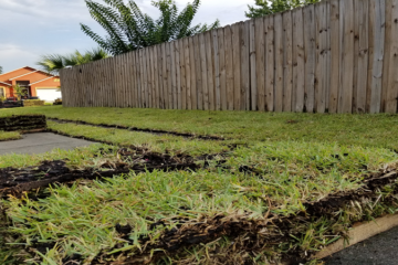 landscaping in Florida