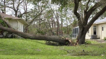 Gallery image 7 — fall cleanup near me