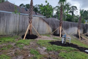 Gallery image 2 — fall cleanup near me