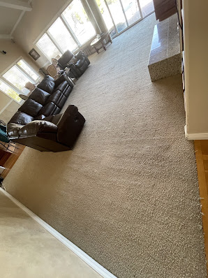 Gallery image 3 — commercial carpet cleaning Green CSJ Cleaner