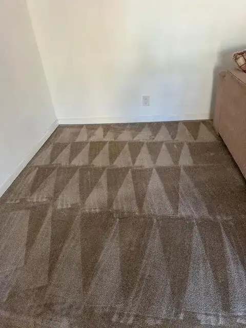 Gallery image 1 — eco friendly carpet cleaning Turlock