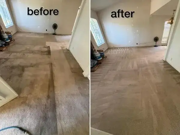 Gallery image 5 — eco friendly carpet cleaning Turlock