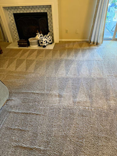 About eco friendly carpet cleaning Turlock