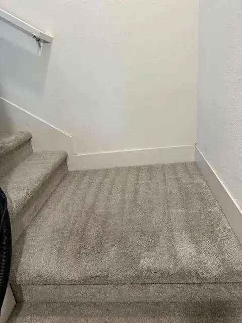 Gallery image 7 — eco friendly carpet cleaning Turlock