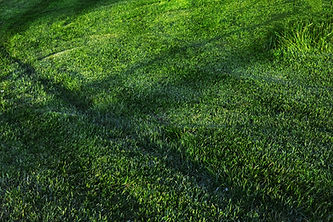 residential landscaping %AREA%