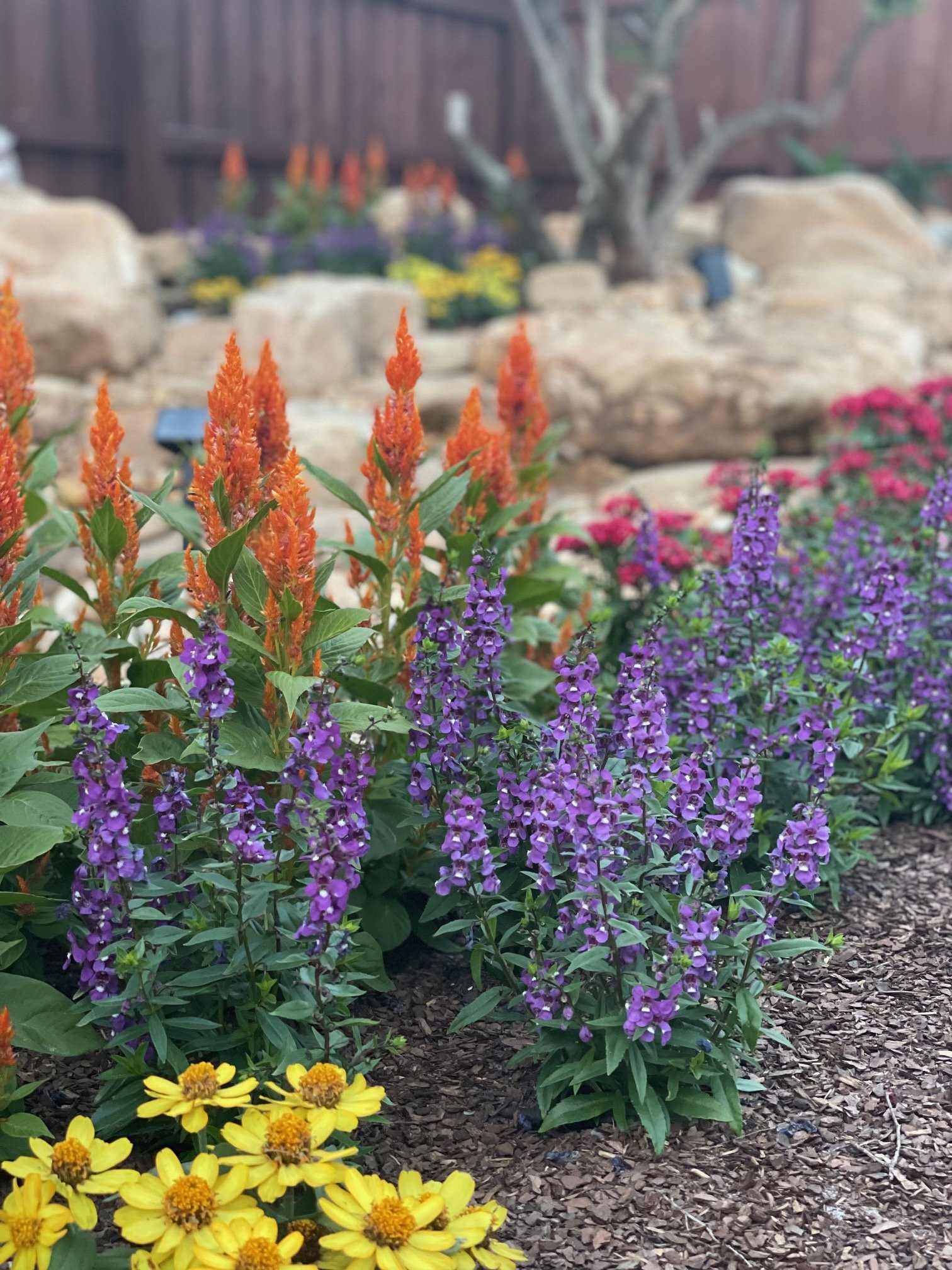 Gallery image 4 — meadowscape company Naturally Rooted