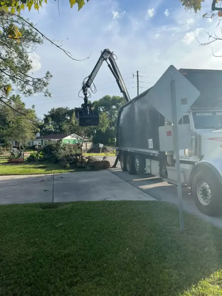 About professional tree care Winter Park