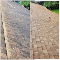 Gallery image 1 — house washing Tampa