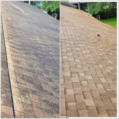 About house washing Tampa