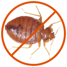 Gallery image 3 — affordable pest control Centennial