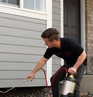 Gallery image 4 — affordable pest control Centennial