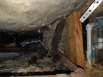 Gallery image 2 — rodent control Northglenn