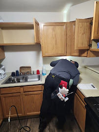 Gallery image 8 — local pest exterminator Boulder