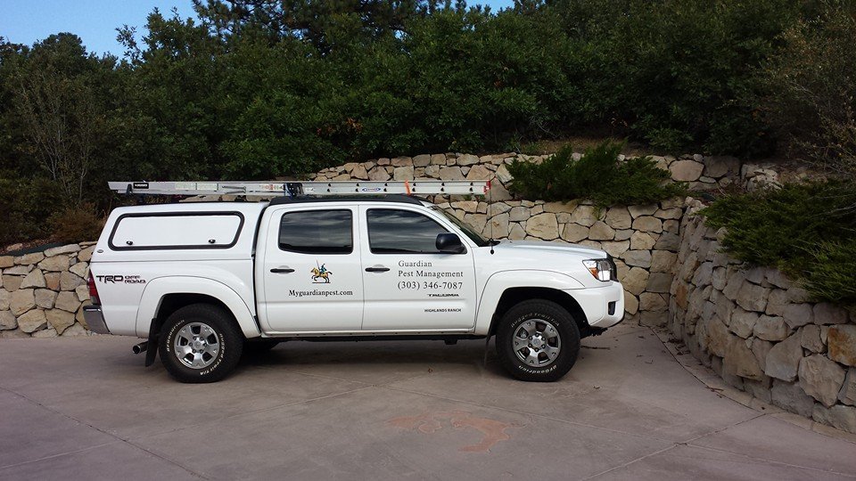 pest control in Centennial, CO