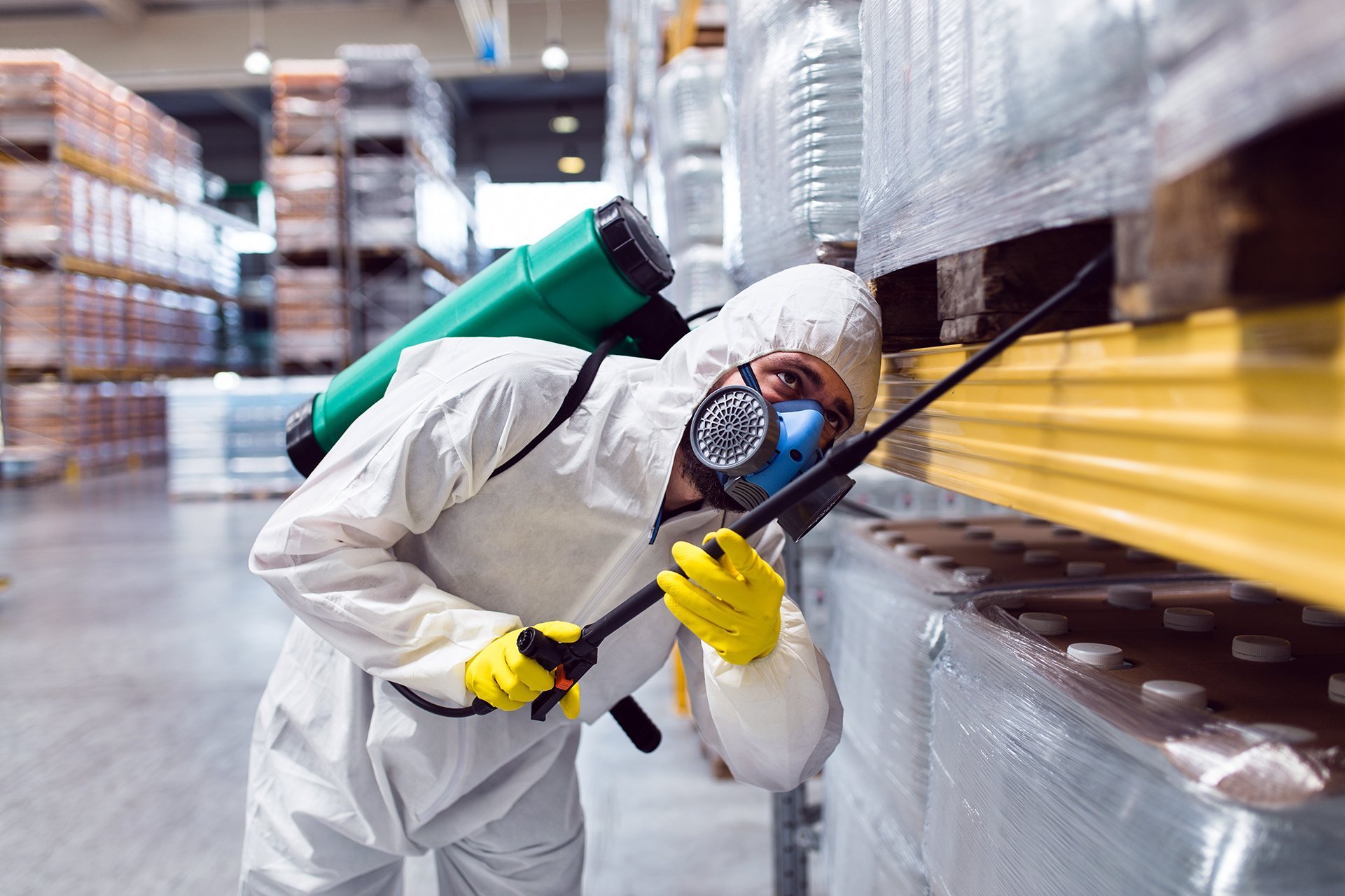 Gallery image 3 — pest control in Centennial, CO