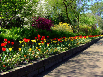 About French drain installation Thornton