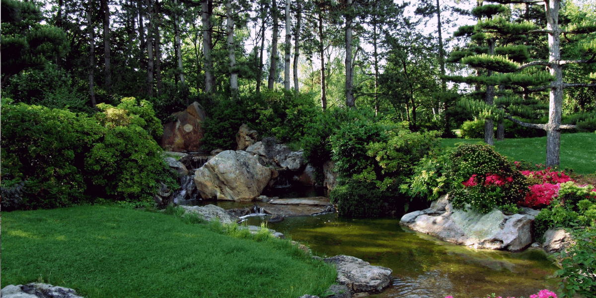 French drain installation Thornton