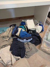 same day bed bug service Denver