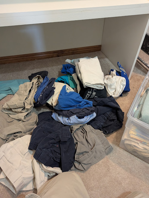 Gallery image 3 — bed bug removal services in Greeley