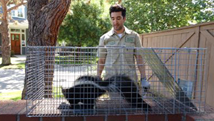 squirrel removal cost near me