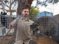 Gallery image 1 — squirrel removal cost near me