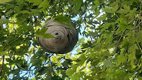 Gallery image 7 — eco-friendly pest control Arvada