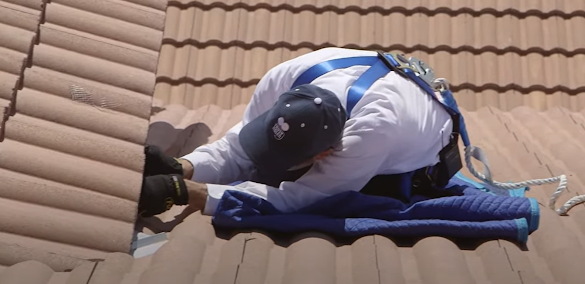 About rodent control specialists Golden, CO