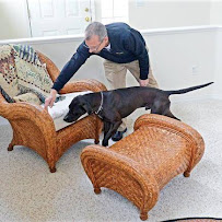 Gallery image 5 — Colorado Bed Bug Dog