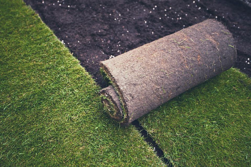 Gallery image 3 — hardscape installation South Florida