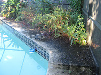 Gallery image 8 — house washing Tampa bay area