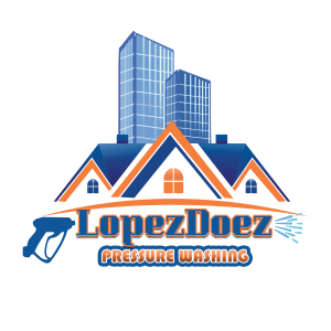 roof cleaning services Webster
