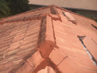 Gallery image 5 — soft wash roof cleaning Bradenton