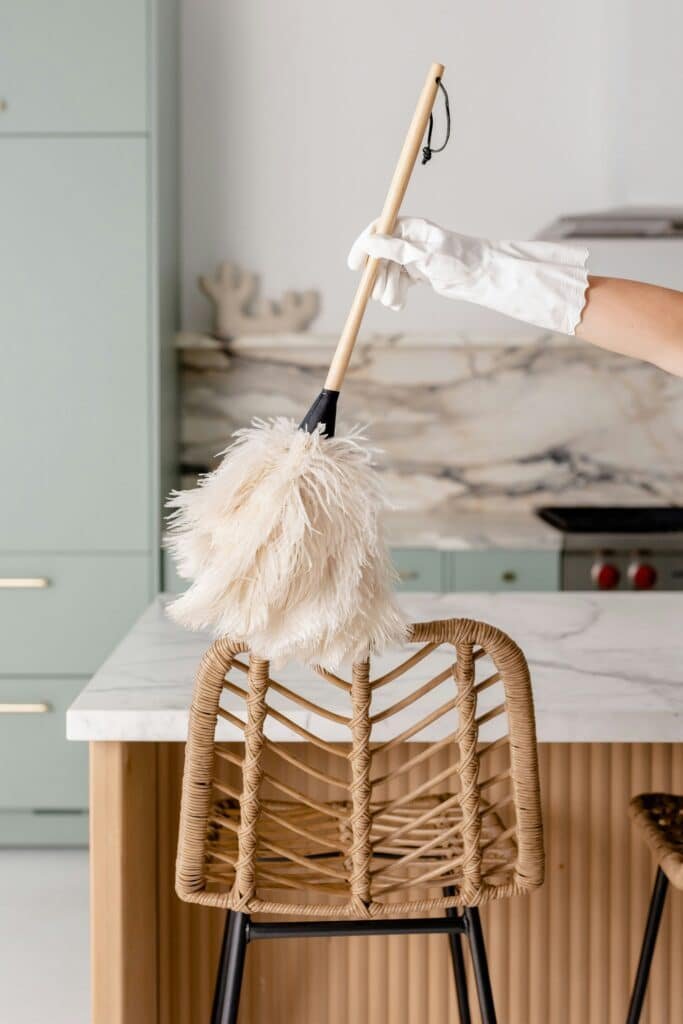 About move out cleaning Santee