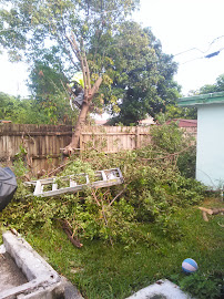 Gallery image 6 — seasonal lawn cleanup near me