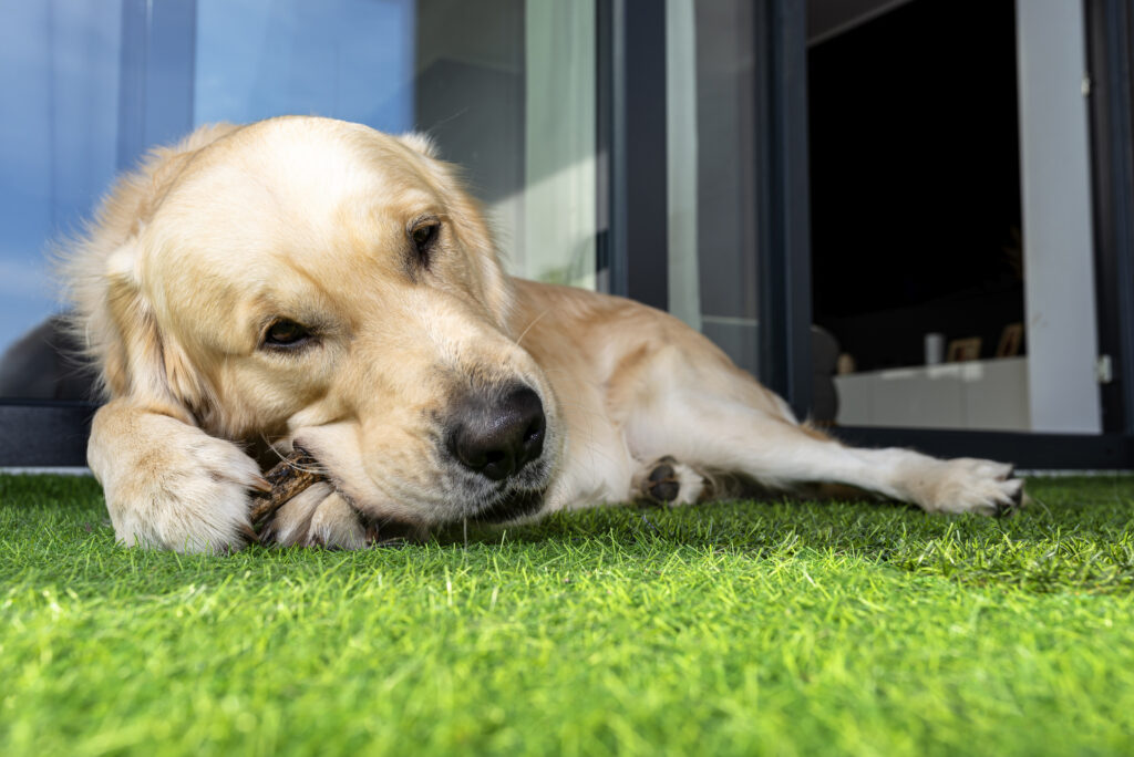 Gallery image 1 — On-Time Turf