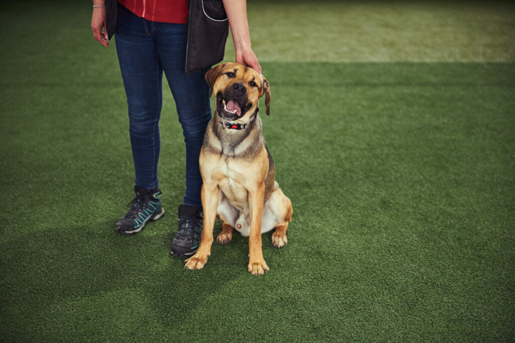 Gallery image 2 — On-Time Turf