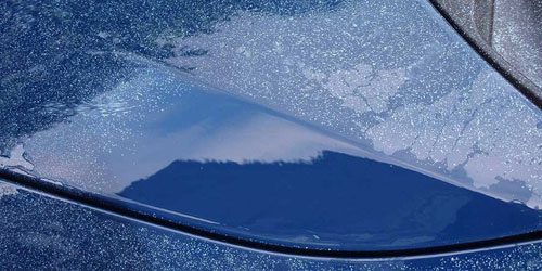 Gallery image 8 — affordable auto detailing Texas